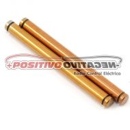 Team Losi Racing Rear Outer Hinge Pin Set (2) (TLR 22)
